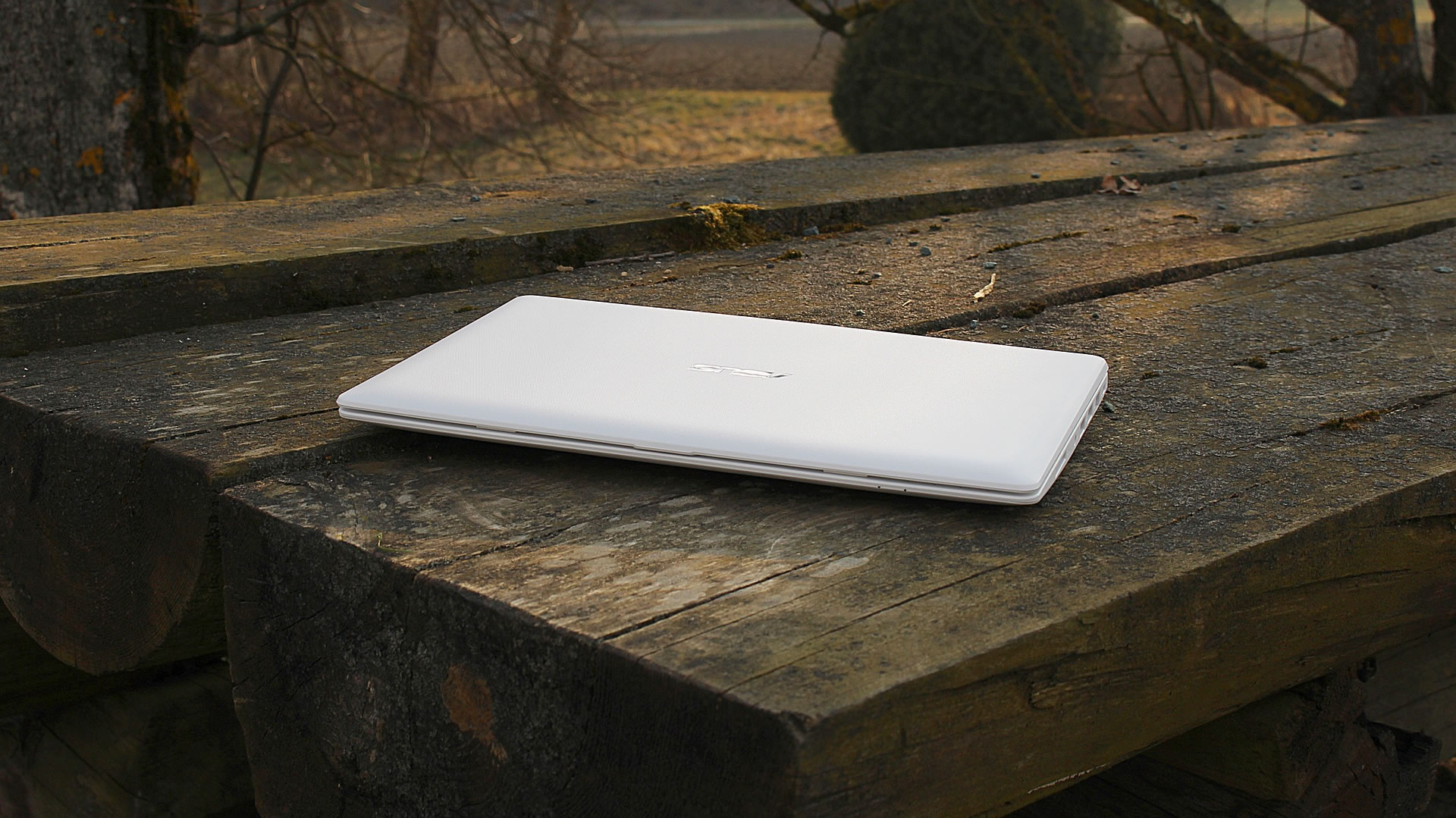 Notebook, Netbook and Tablet repair service