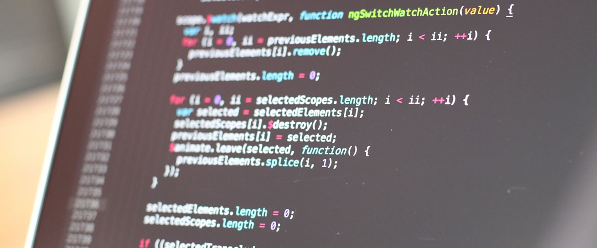 Software hacking